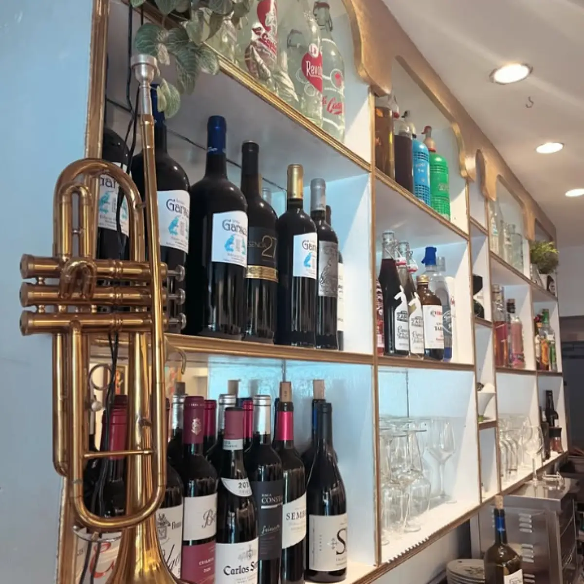 vinos-adaptado